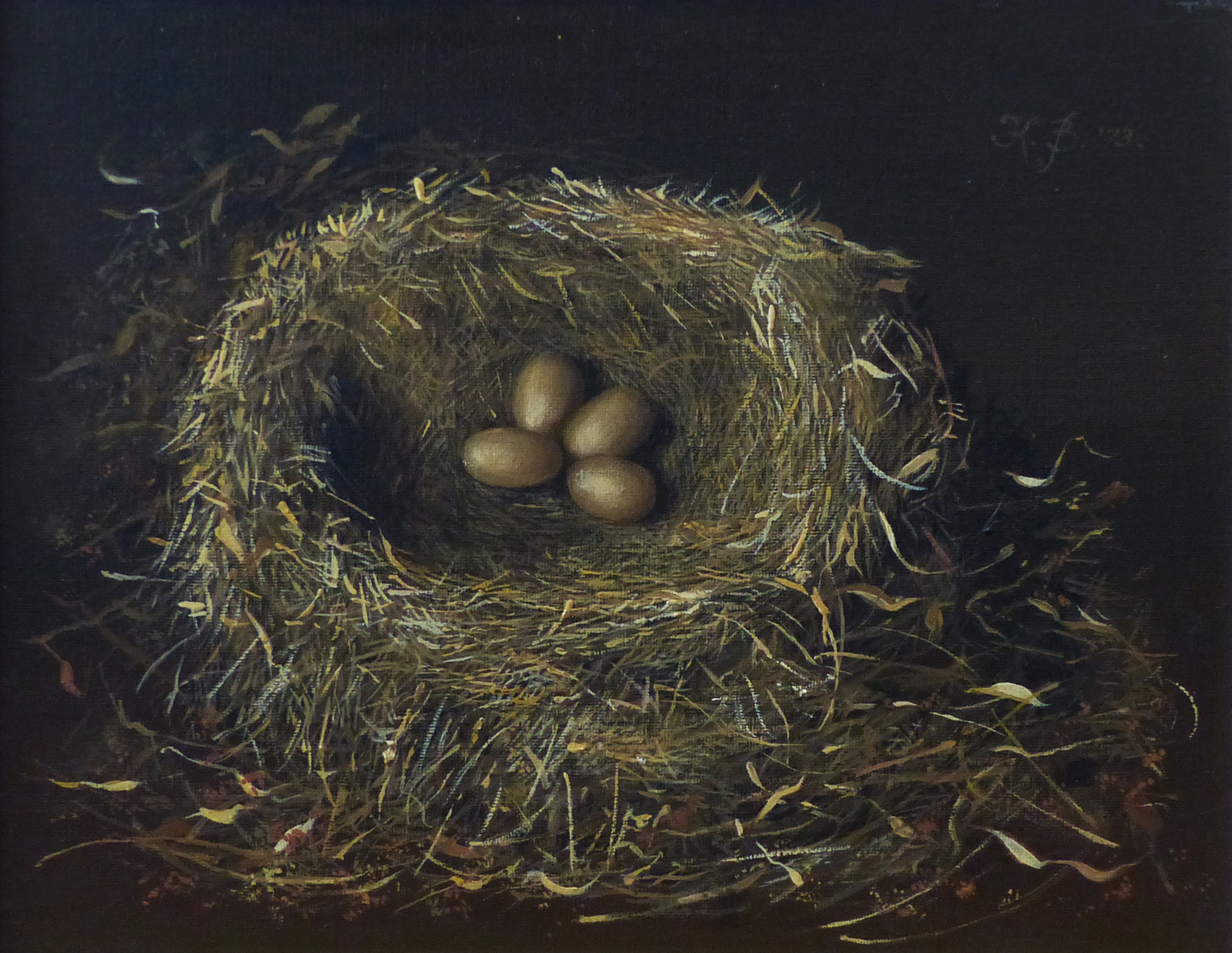 Verslaving Immigratie jungle Nest met eieren | Pieter Scheen