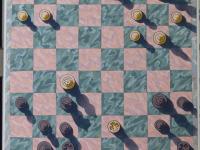 Martina de Miranda-Visser - schilderij schaakspel